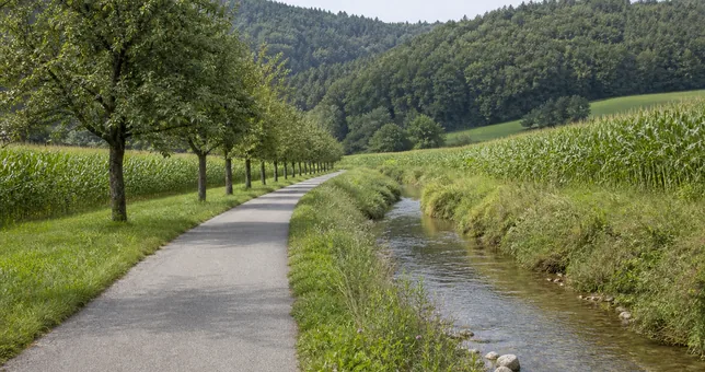 Radweg entlang von Feldern und Obstbäumen